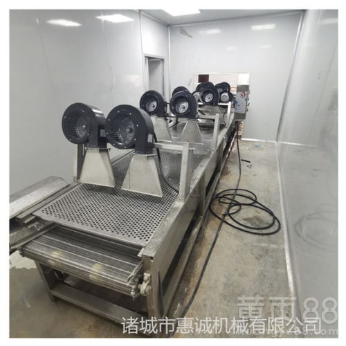 惠诚清洗烘干流水线 寿县新款果脯烘干设备引领食品干燥新标杆
